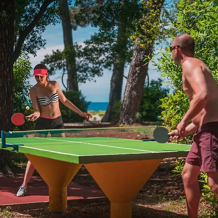 Valamar Crystal بوريتش